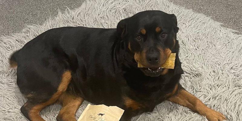 ENTER OUR MONTHLY COMPETITION