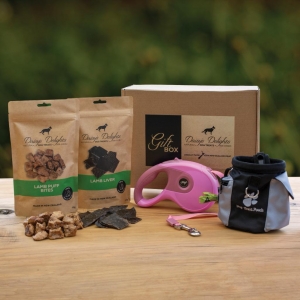 Daisy's Delights Puppy Starter Pack - Pink Lead _1